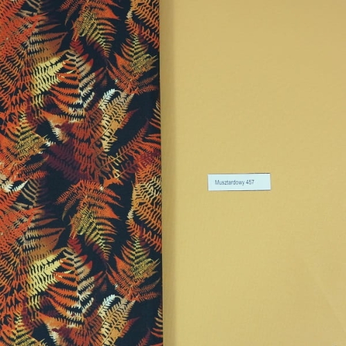 Złota paproć na czarnym kolor.JPG