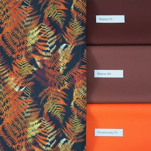 Złota paproć na czarnym kolory.JPG