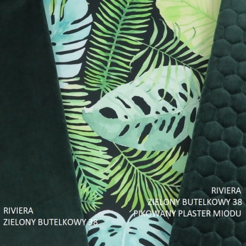 monstera na czarnym3.JPG