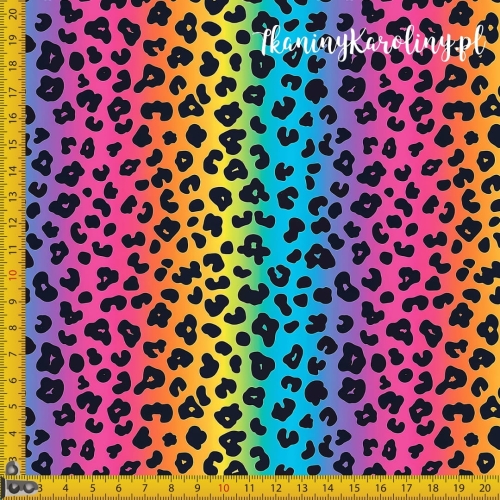 Panterka kolorowa 7.jpg