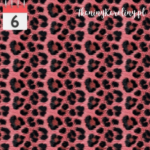 Panterka różowa.jpg