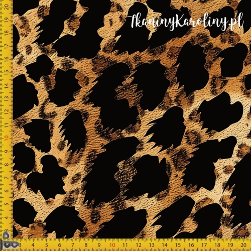 Panterka brązowa 8.jpg