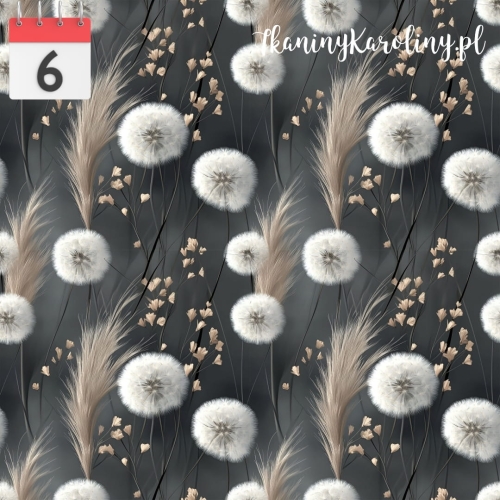 Dmuchawce pastelowe 6.jpg