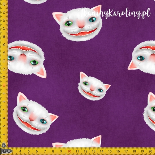 50b40e0a718b2a5cee1f72eac8581cba