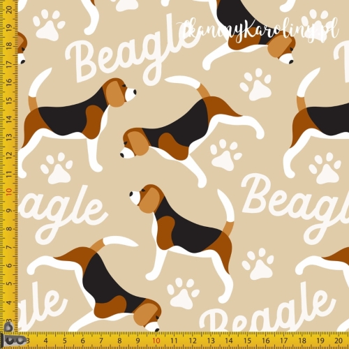 be7caea263537bb45dbe16762faa7eb7