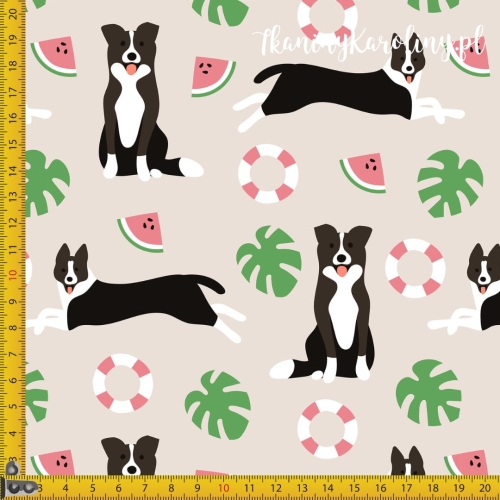 0ffd541249b3230f07c92e0a20d129ca