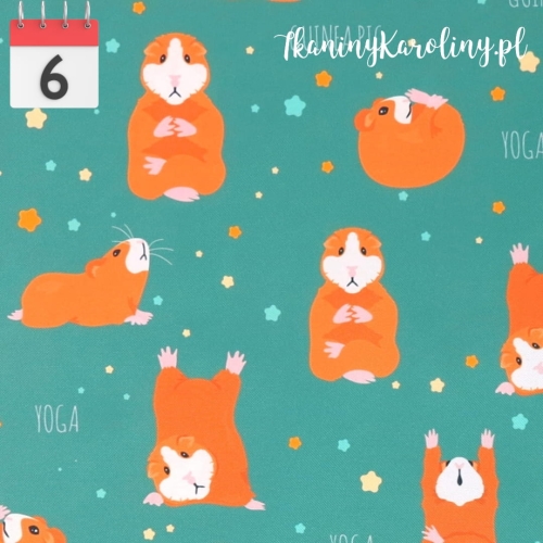 TKANINA WODOODPORNA Świnki morskie - kawia domowa [6]