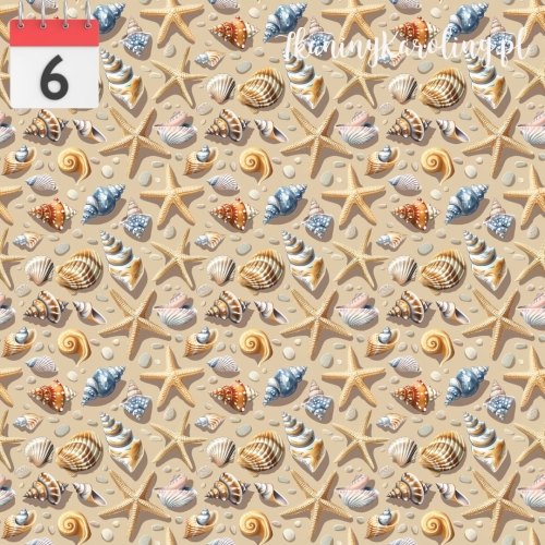 Muszelki na plaży.jpg