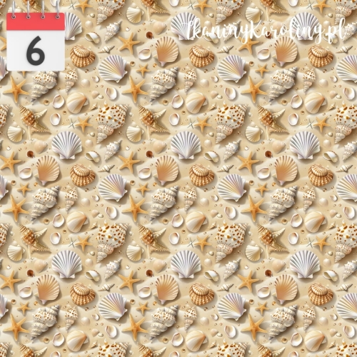 Muszelki na plaży 3.jpg