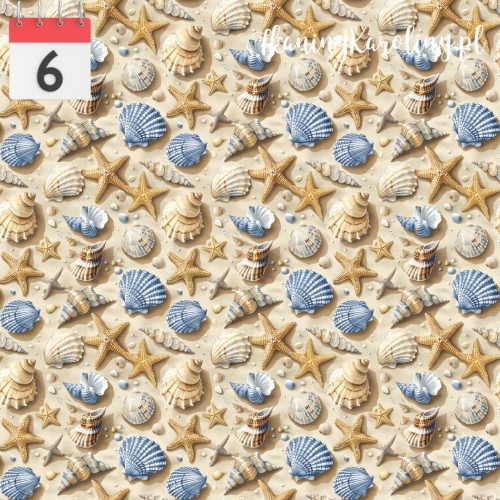 Muszelki na plaży 4.jpg