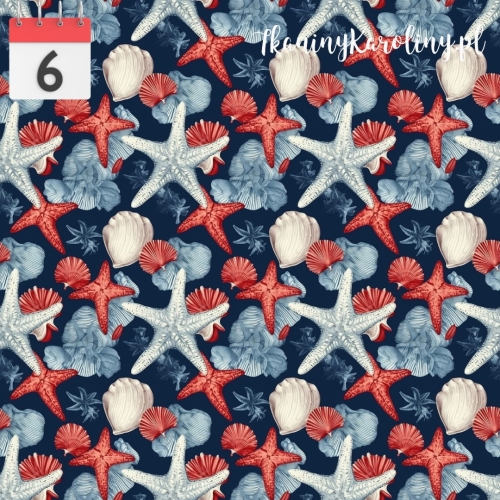 Gwiazdy i muszelki na granatowym.jpg