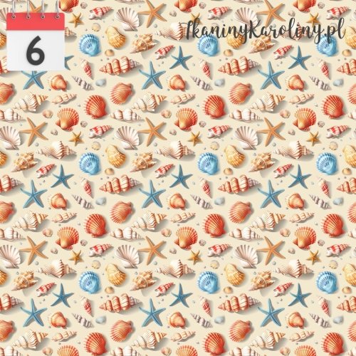 Muszelki na plaży 2.jpg