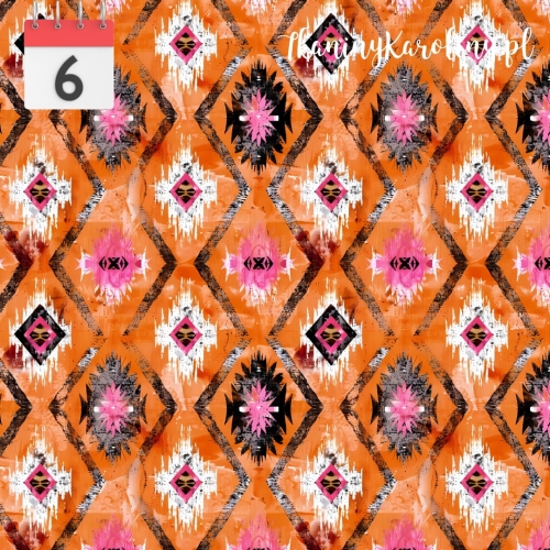 wodo_softshell_eko (4).jpg