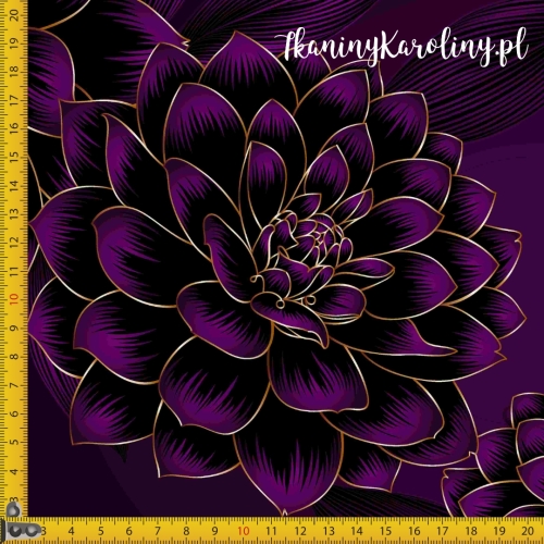 2174.2 px KI_TK_2025_1190.jpg