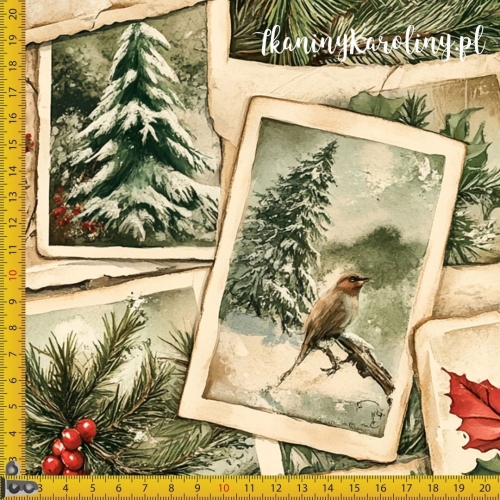 TKANINA WODOODPORNA OXFORD Wzory świąteczne - Mysikrólik (ptak) i gwiazda betlejemska na starodawnych pocztówkach