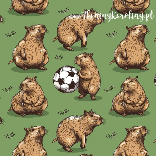 SOFTSHELL WODOODPORNY - Kapibary na trawie, piłka nożna [6-8]