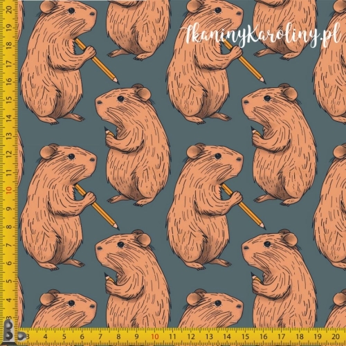 SOFTSHELL WODOODPORNY - Kapibary z ołówkami na ciemnym tle [6-8]