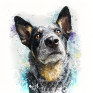 Panel welurowy Australian Cattle dog 2 malowany [6-8]