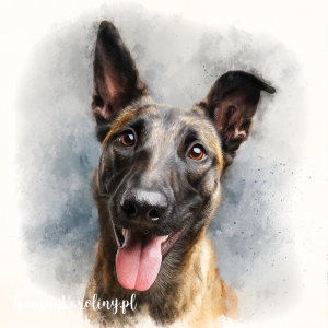 Panel welurowy Malinos belgijski 1 malowany [6-8]