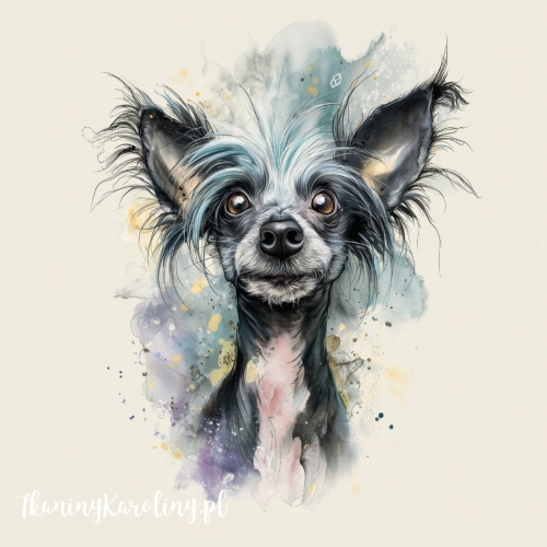 Panel welurowy Nagi pies chiński malowany