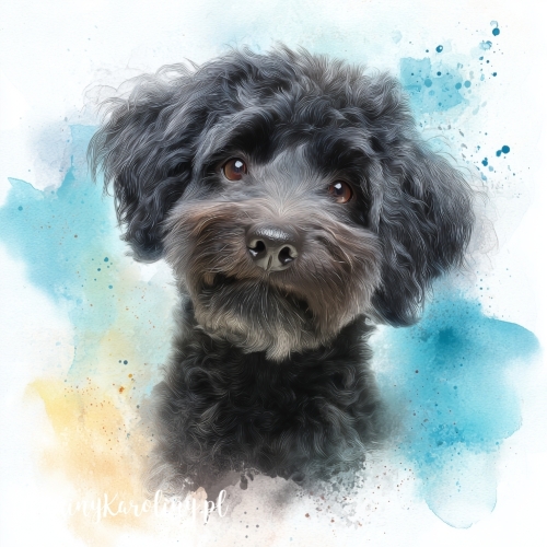 Panel wodoodporny Czarny maltipoo malowany [6-8]