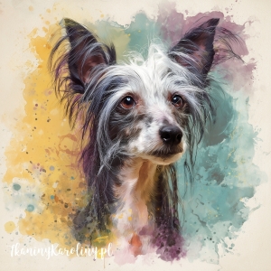 Panel welurowy Grzywacz chiński malowany [6-8]