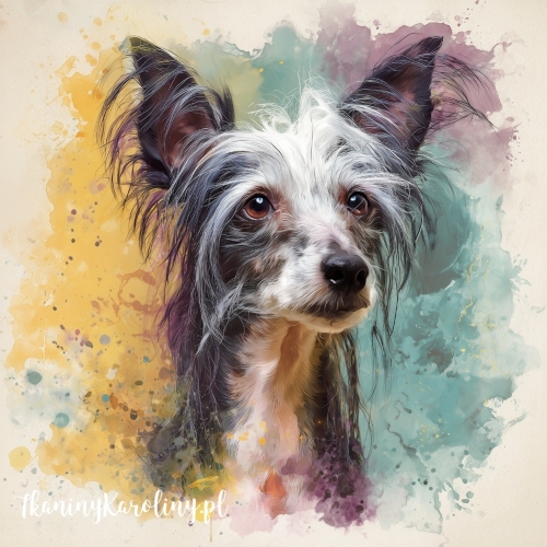 Panel welurowy Grzywacz chiński malowany [6-8]