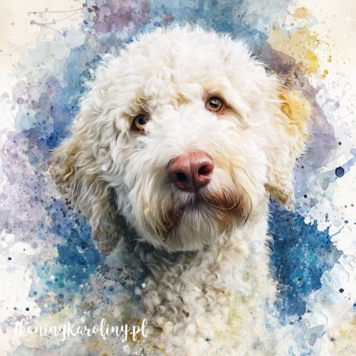 Panel welurowy Lagotto romagnolo 3 malowany [6-8]