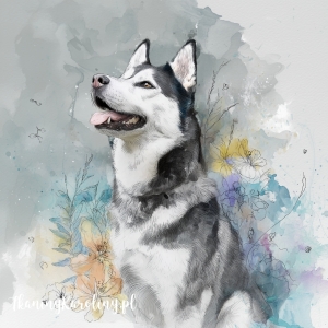 Panel welurowy Siberian husky malowany [6-8]