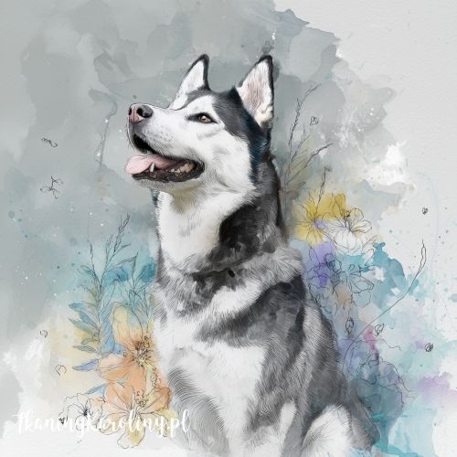 Panel welurowy Siberian husky malowany [6-8]