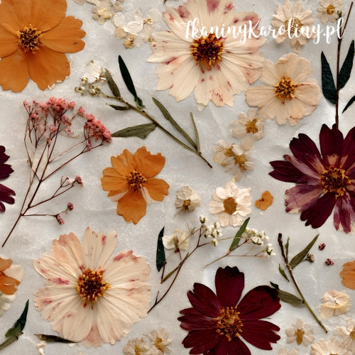 TKANINA WODOODPORNA OXFORD Kwiaty suszone 27 - małe i duże pomarańczowe, kremowe i bordowe