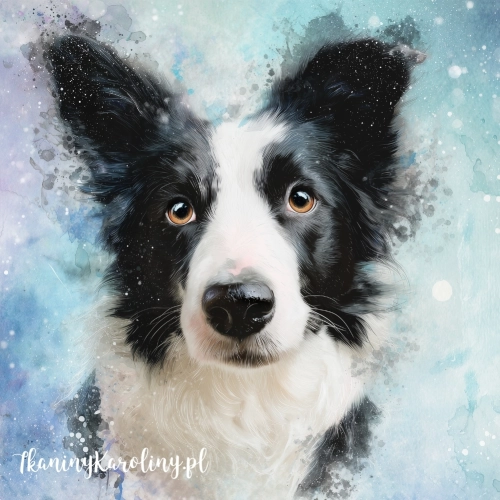 OD RĘKI Panel welurowy 50x50 Border Collie 3 malowany