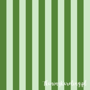 TKANINA WODOODPORNA OXFORD Pasy leżakowe - zielone 3,5 cm [6-8]