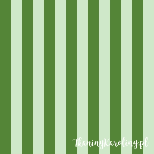 TKANINA WODOODPORNA OXFORD Pasy leżakowe - zielone 3,5 cm