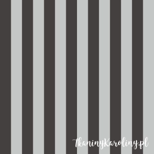 TKANINA WODOODPORNA OXFORD Pasy leżakowe - szare grafitowe 3,5 cm [6-8]