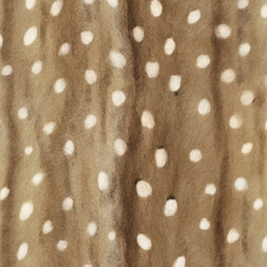 Welur tapicerski Futro jelenia bambi 10 (druk na zamówienie)
