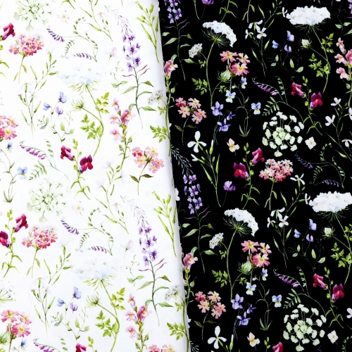 łąka czarna biala.JPG