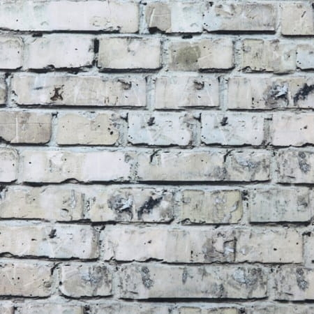 ceglana ściana1.JPG