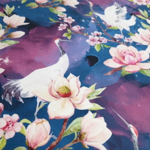 zurawie magnolie1.JPG